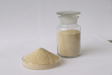 海藻酸钠 - 工业级海藻酸钠