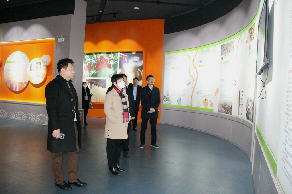 日照市副市长张金梅来6776永利集团集团调研